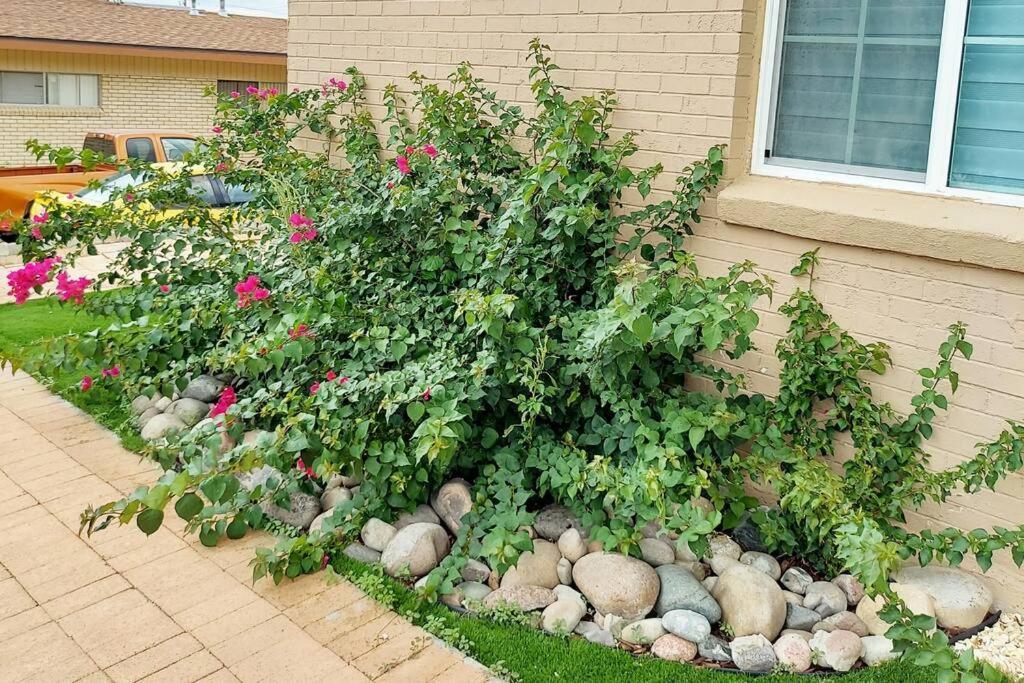 Villa My Cozy Duplex A In The Heart Of West Side El Paso Exterior foto